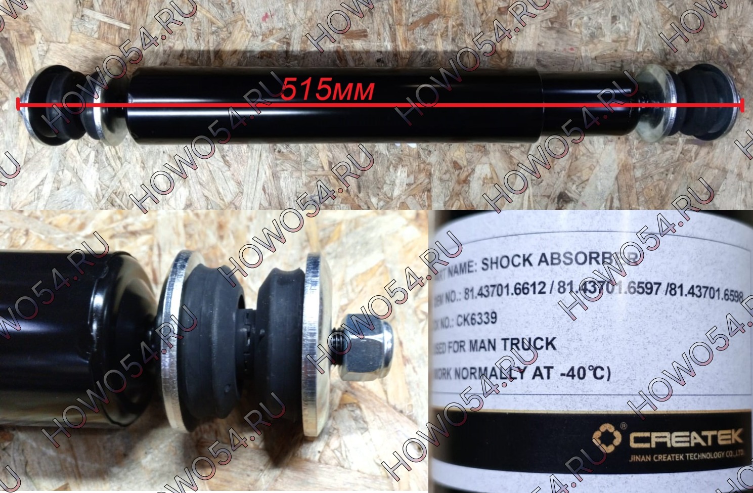 24732